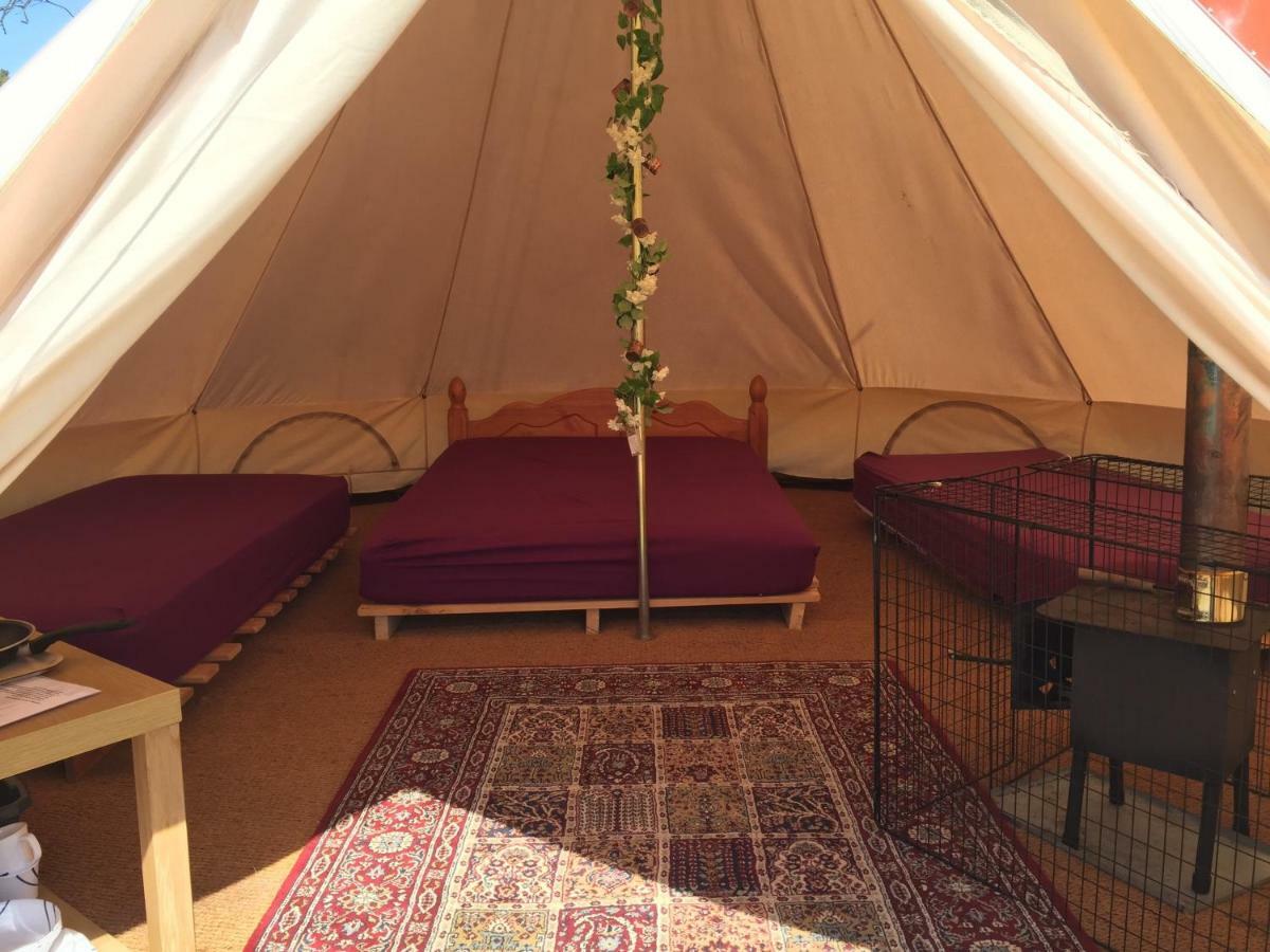 Bell Tent Glamping At Royal Victoria Country Park Southampton Kültér fotó